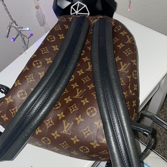 Louis Vuitton Palm Springs Mm Brown Monogram Canvas Backpack - Picture 2 of 6